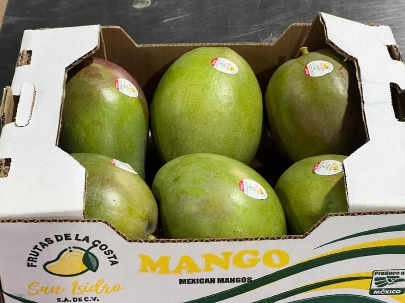 Empaque 6 mangos 2